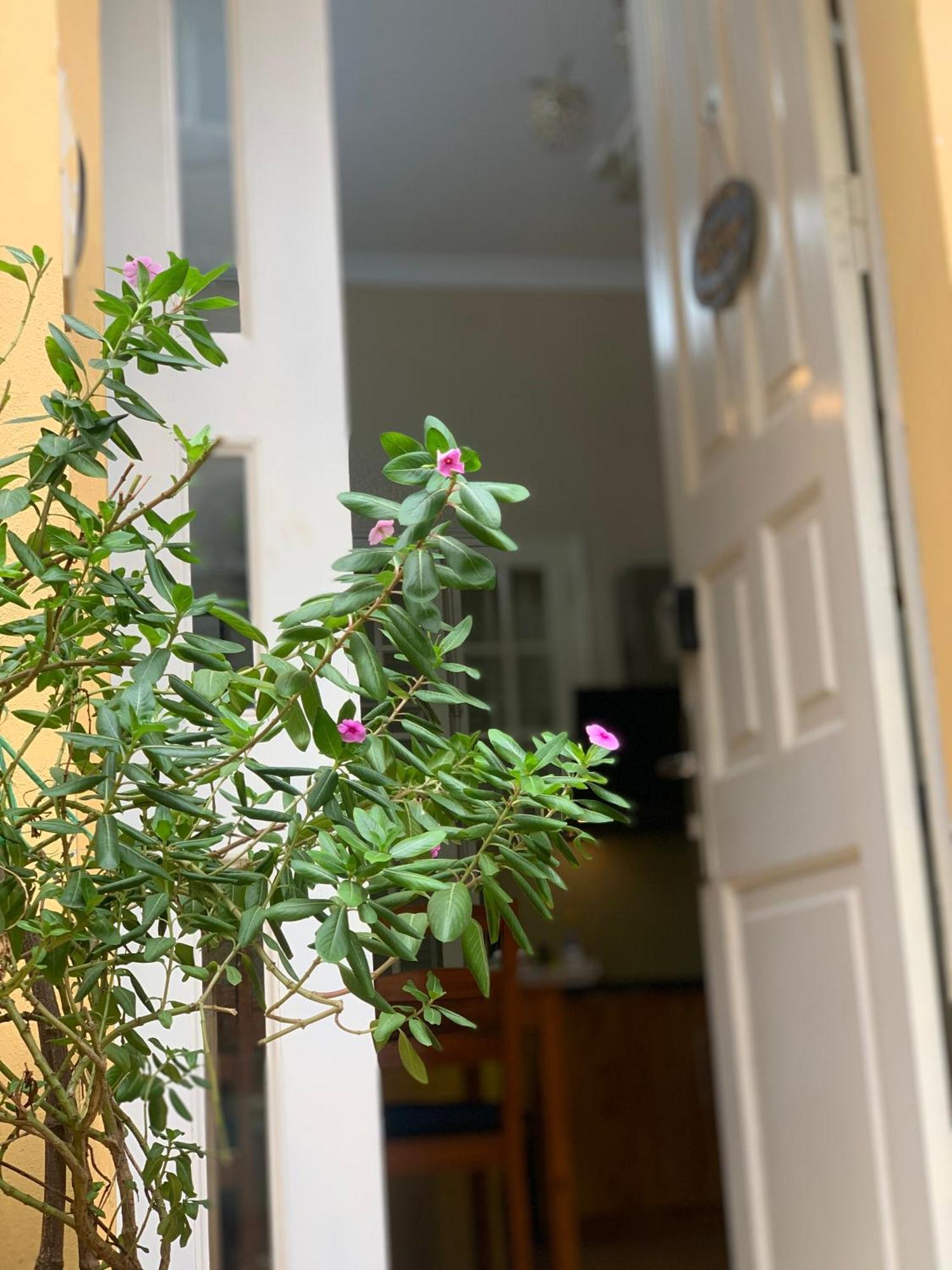 Apartmán Charmcham House Hanoj Exteriér fotografie